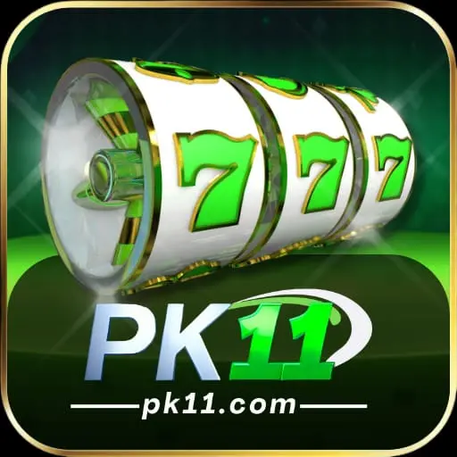 PK11 Game